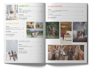 Aufgeschlagenes Magazin webp 2