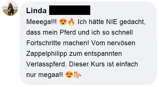 Linda S. Feedback